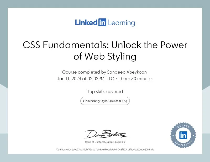 CSS Fundamentals: Unlock the Power of Web Styling